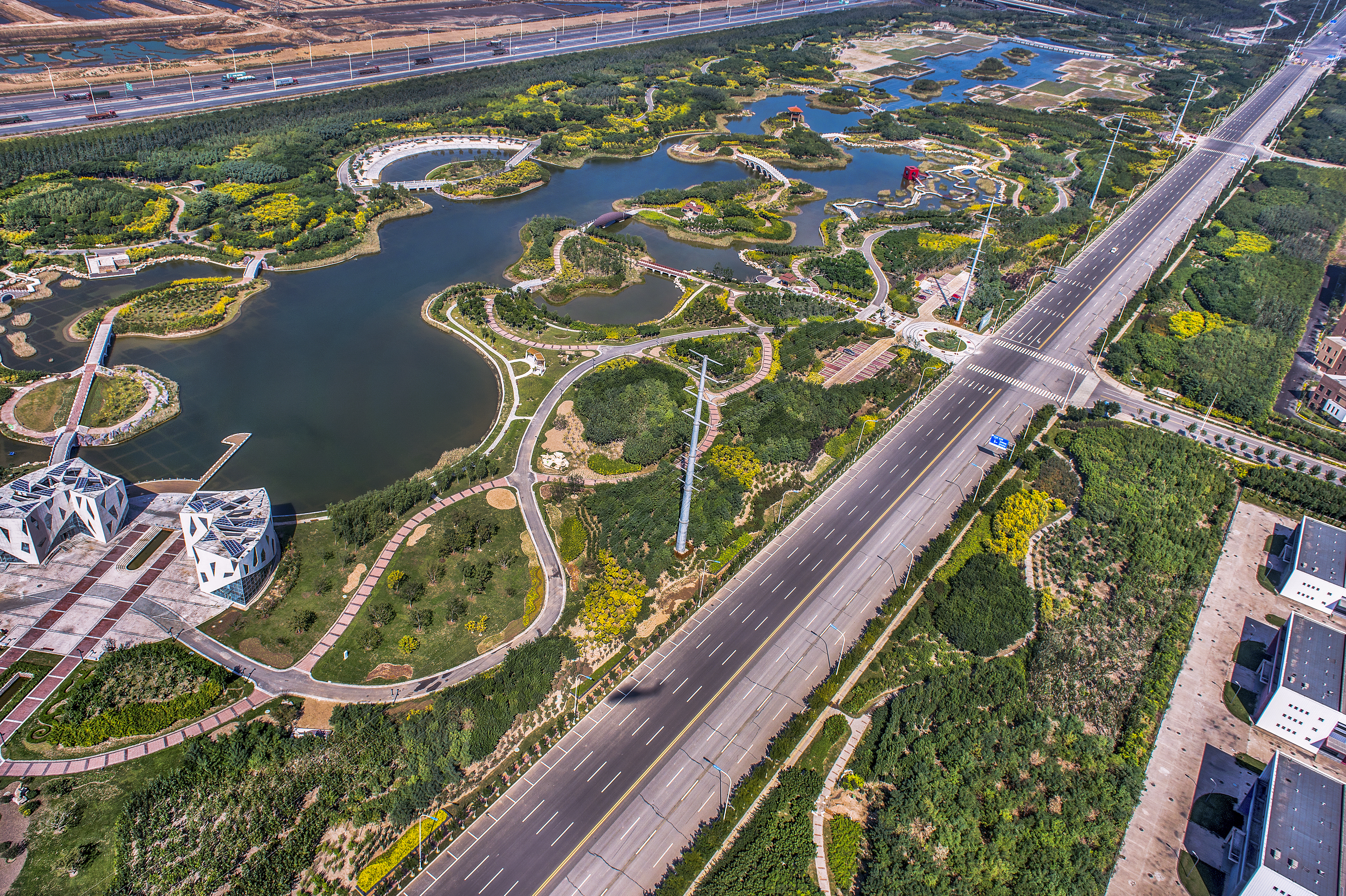 臨港生態(tài)濕地公園 (3).jpg